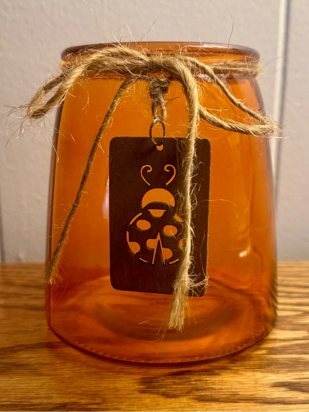 Amber Glass Jar Vase with Jute Twine & Wooden Ladybug Charm Rustic Decor